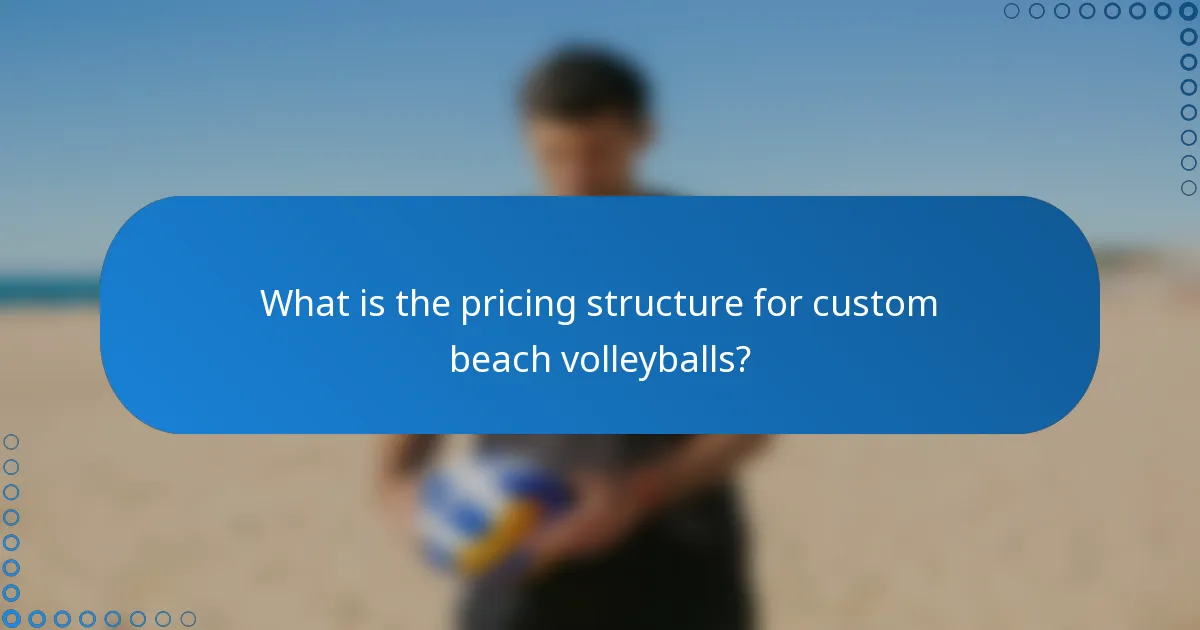 What is the pricing structure for custom beach volleyballs?