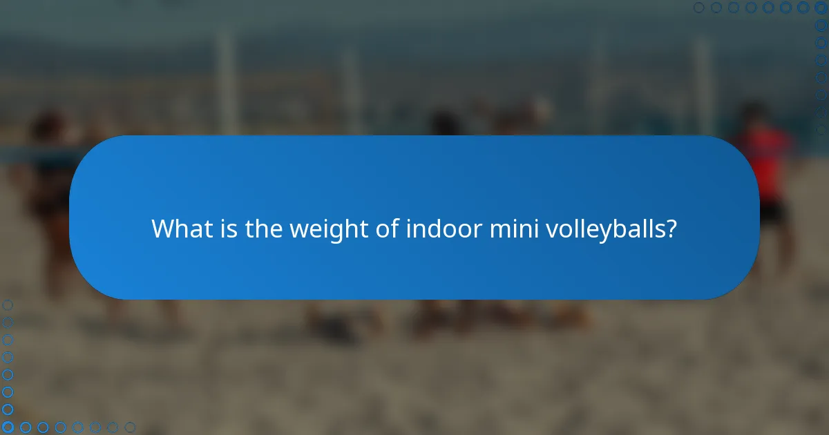 What is the weight of indoor mini volleyballs?