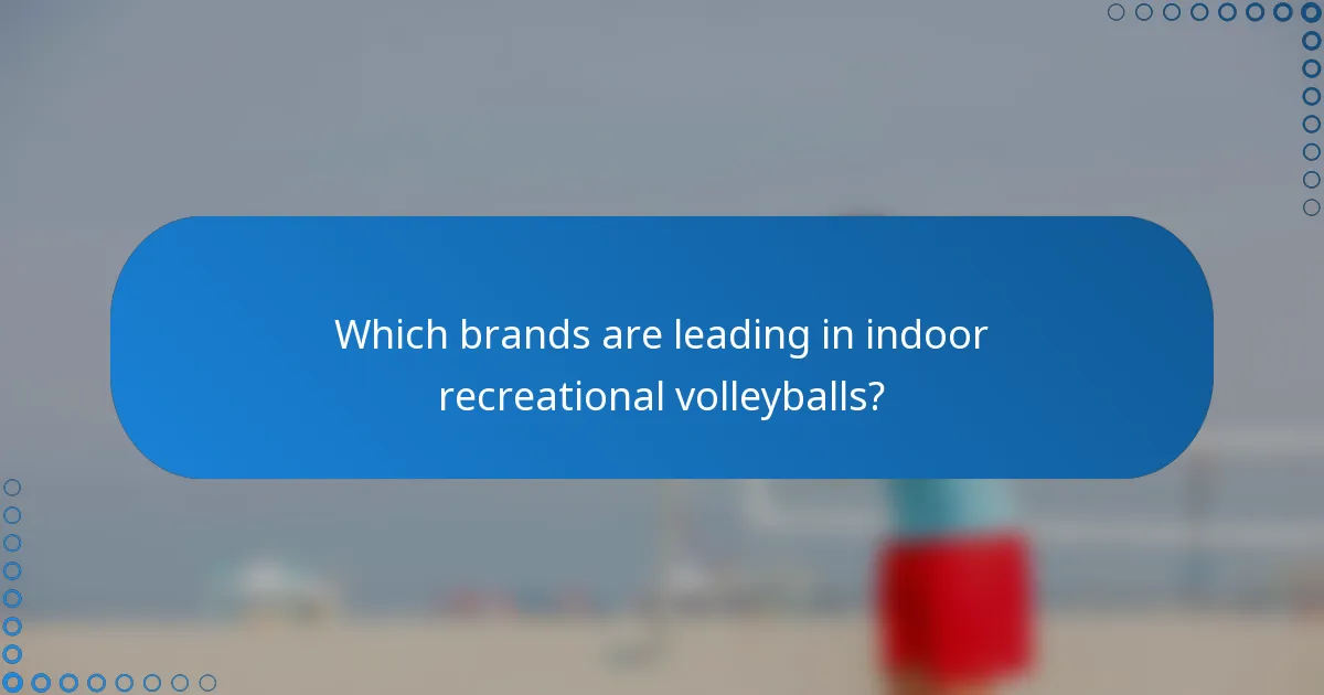 Which brands are leading in indoor recreational volleyballs?