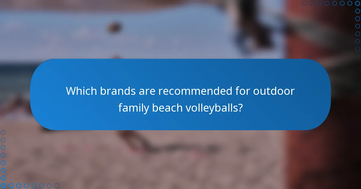 Which brands are recommended for outdoor family beach volleyballs?