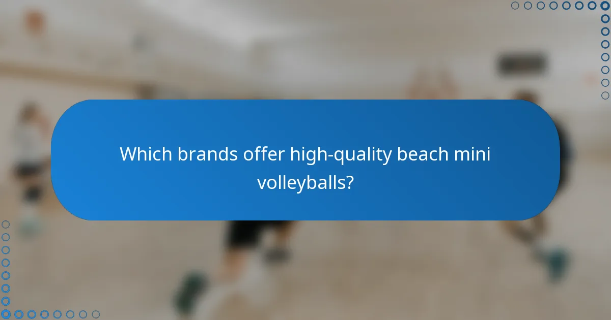 Which brands offer high-quality beach mini volleyballs?