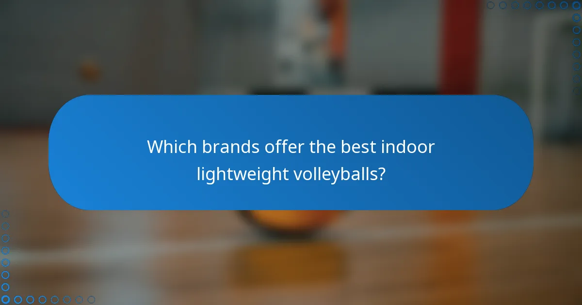 Which brands offer the best indoor lightweight volleyballs?