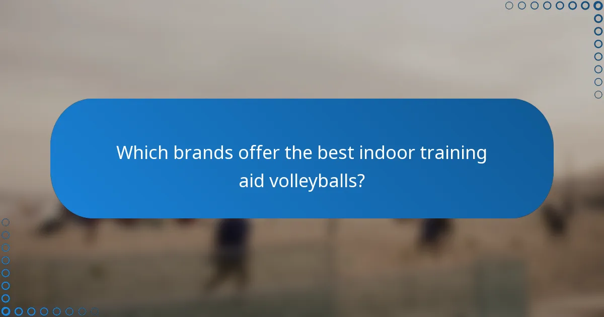 Which brands offer the best indoor training aid volleyballs?